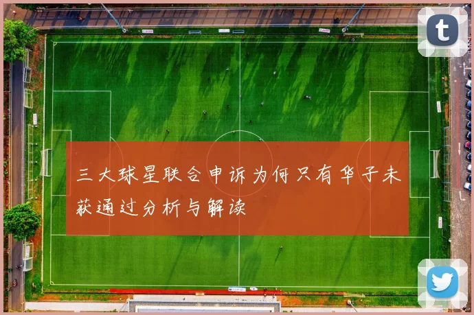 三大球星联合申诉为何只有华子未获通过分析与解读