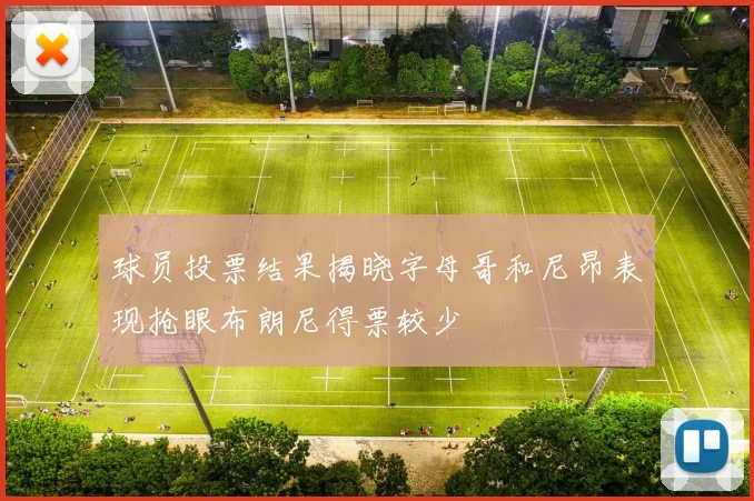 球员投票结果揭晓字母哥和尼昂表现抢眼布朗尼得票较少
