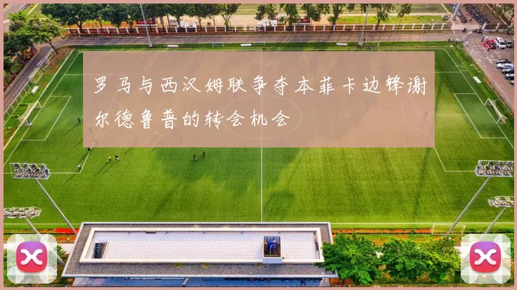 罗马与西汉姆联争夺本菲卡边锋谢尔德鲁普的转会机会